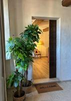 Dimore Romeo - La Dimora del Corso - B&B Montecastrilli