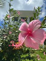Stylish Loft Villa Bella Rose, Strandnähe, Hotel SunSeaBeach - B&B Las Galeras