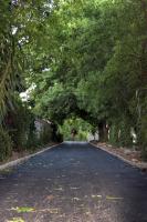 Vanilla Guesthouse - B&B Johannesburgo