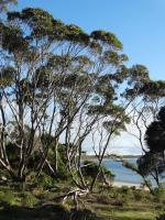Georgina's place, Kangaroo Island - B&B Brown beach