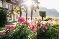 Zeder Kraiterhof - B&B Andriano