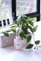 Sweet Home Property Forrestfield - B&B Perth