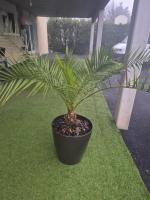 Studio2 cosy indépendant calme proche Lyon - Ferienwohnung Lissieu