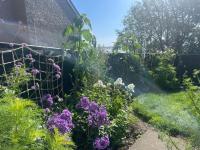 Fab ensuite double room, ideally located for Isles of Scilly Ferry Terminal - B&B Newlyn