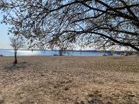 SeeZauber- gemütliche Ferienwohnung, Privatparkplatz, Cospudener See - B&B Markkleeberg