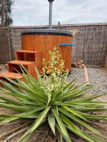 Tiny House El boldo - B&B La Ligua