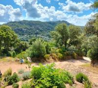 incore di u maquis corsu - B&B Sotta