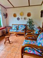 Forest Cabin - Nature and Tranquility - B&B Apaneca
