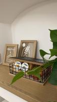 B&B Fontana - Room and Apartment - Bed and Breakfast Torremaggiore
