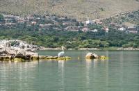 Leon & Ema - Ferienwohnung Donji Murići