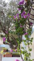Apartmani Barada - B&B