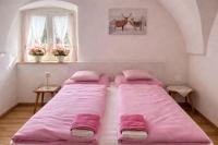 La Busa dai Zervi - Chambres d’hôtes Daiano