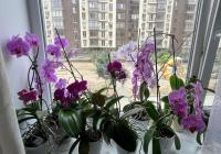 Просторные светлые апартаменты у моря - B&B Fontanka