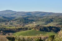Aureva Tuscany, modern villa with private pool - Bed and Breakfast Montelupo Fiorentino