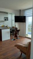 Villarrica céntrico - Ferienwohnung Villarrica