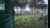 Salgados Village - Apartamento T1-11B - B&B Valados