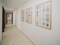 Sibs Sanlucar Marisma - Renovado Centro Ideal Familias - B&B Sanlúcar de Barrameda