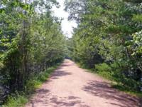 Nitschke's Resort Cabin #7 - Pet Friendly - Ferienwohnung Minocqua