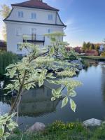 Lola Montez Schlössl - B&B Rottenburg an der Laaber