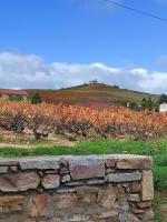 La Cazotte entre vignes et village - B&B Fleurie