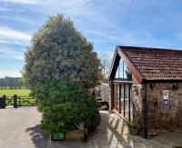 The Old Milking Parlour - Bed and Breakfast Wells