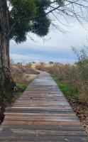 Sun, Sea, Sand studio - B&B Slanchev Bryag