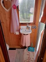 'Morris' the shepherd's hut ,woodland hot tub available, separate fee - Chambres d’hôtes Carmarthen