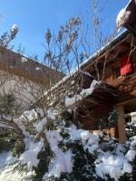 Le Refuge - studio in Leysin - B&B Leysin