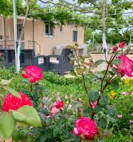 Vasiliki's Apartments - Chambres d'hôtes Dímitra