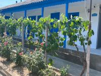 Casa Albastra - B&B Mahmudia