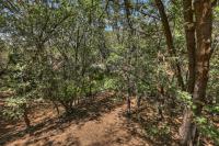 Timberlake Chalet -Gather -Unwind -Nature - B&B Lake Arrowhead