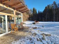 Froschteichhäuschen - Natur und Wellness - Bed and Breakfast Spitzwiesen