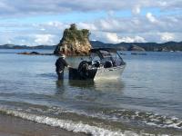 Birdsong Bach Whangaumu Bay Tutukaka - Chambres d’hôtes Tutukaka