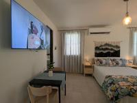 Explorers Fortuna Studio - B&B Luquillo