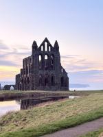 The Cinder Track Hideaway - Bed and Breakfast Whitby