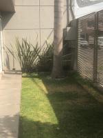 Estancia Iturriaga Suite 1 - B&B Mexico City