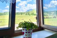 Ferienwohnung Pusteblume - B&B Sonthofen