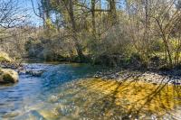 Creekside Hideout - B&B Cosby