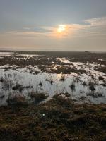 La marée - B&B Étaples