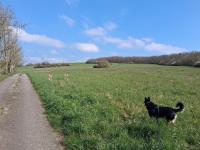 Ferienwohnung Kany - B&B Bliesmengen-Bolchen