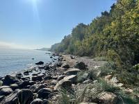 Apartament Vespa - B&B Mechelinki