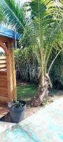 Ti Cactus Guadeloupe - B&B Sainte-Rose