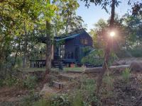 Tiny in the Trees - B&B Bollier