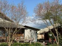 The Happy Dragonfly - Ferienwohnung Lao Cai