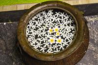 Shrine Inn - B&B Kandy