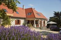 Villa Tolnay Vendégház - B&B Gyulakeszi