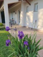 A Casa Nostra - B&B Montopoli in Val d'Arno