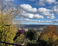 Les Crins Du Bonheur Chambre Marie - B&B Fraisses
