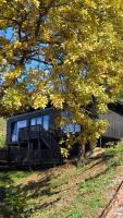 Nomad Hill Cabins - B&B Ruginești