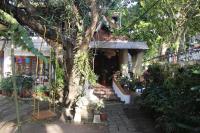 Fort flora - Ferienwohnung Kochi